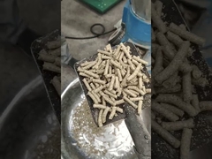 Плоский Биомасса 800 кг/ч 1000 кг/ч Пресс-гранулятор для опилок